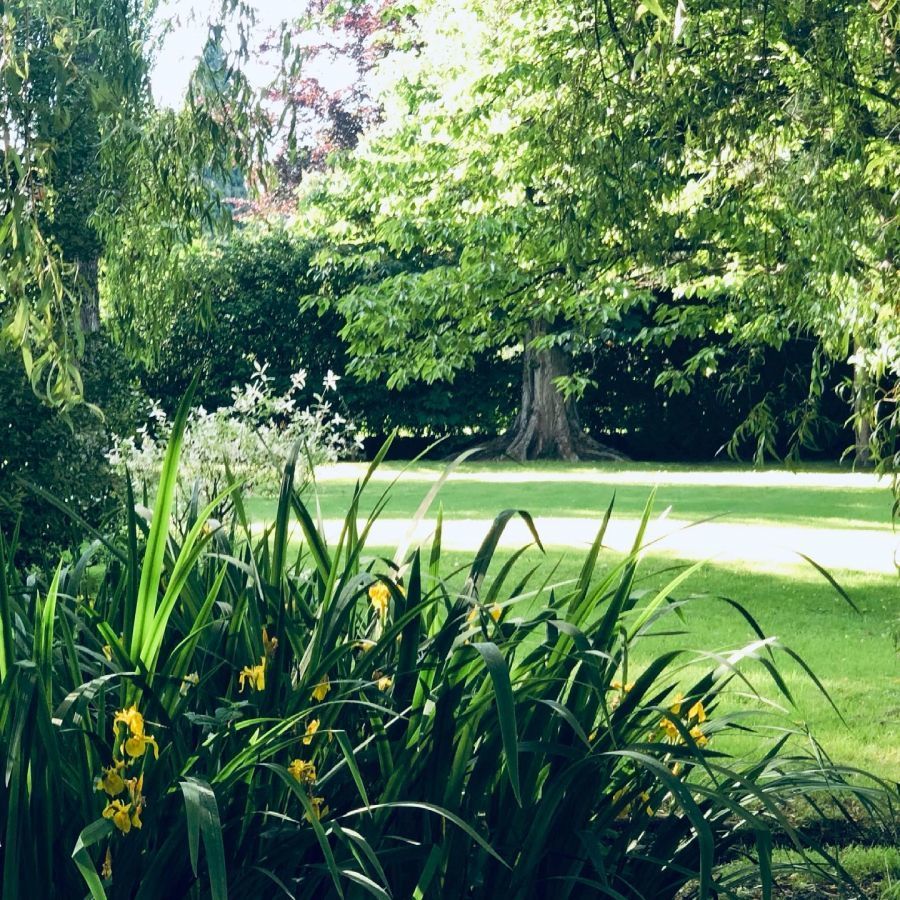 Moulin Royale - Extérieur